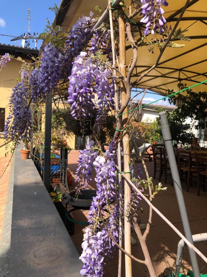 Touristic Apartment "Agata" Sirmione Bagian luar foto